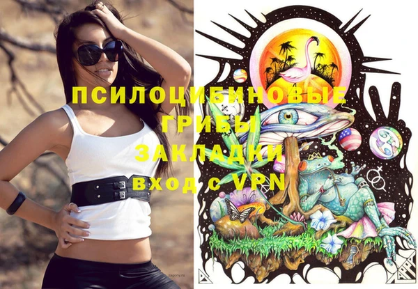 винт Бронницы